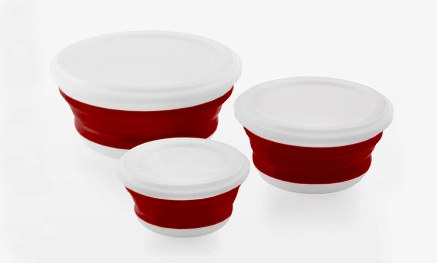 Image 2: PMS Collapsible Storage Bowls