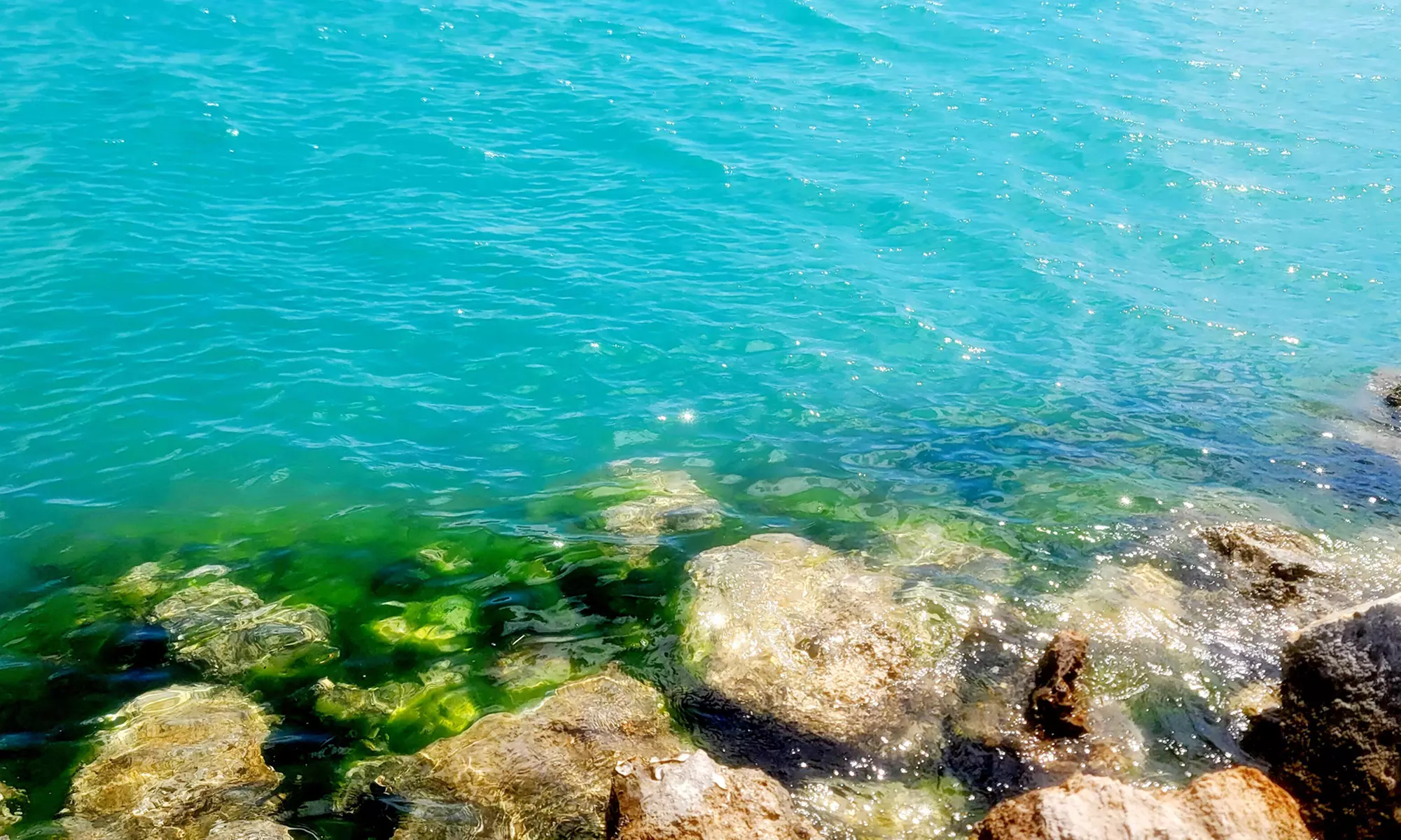 Get One, Two, Three, or Four-Hour Rental For One 2-Seat Clear Kayak