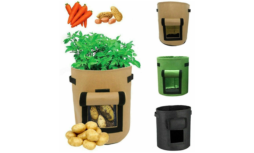 Image 3: One, Two or Three Plant Growing Bags