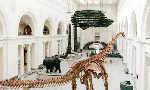 CityPASS- Save up to 50% on Admission to Top Chicago Attractions