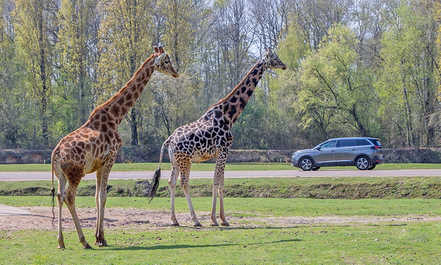 Image 3: Entrée au Zoo Safari de Thoiry