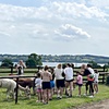 Image 6: Up to 57% Off on Zoo / Animal Park at Rustic Retreats
