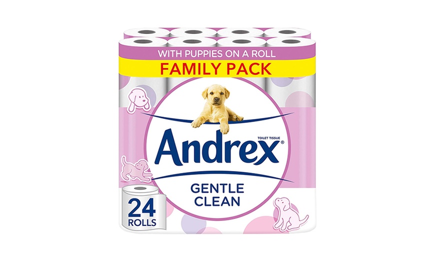 Image 2: Up to 96 Rolls of Andrex Toilet Paper