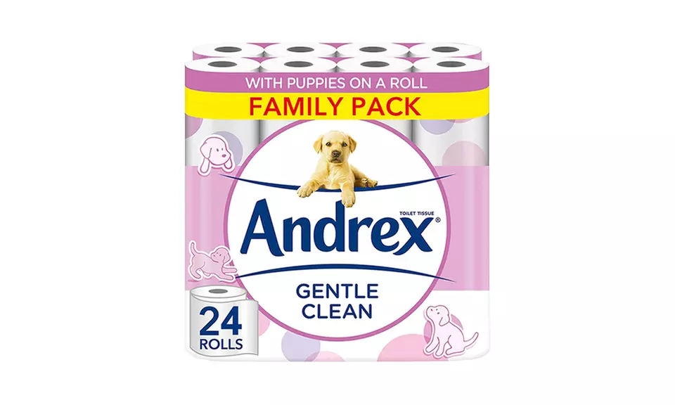 Up to 96 Rolls of Andrex Toilet Paper - Primary Image