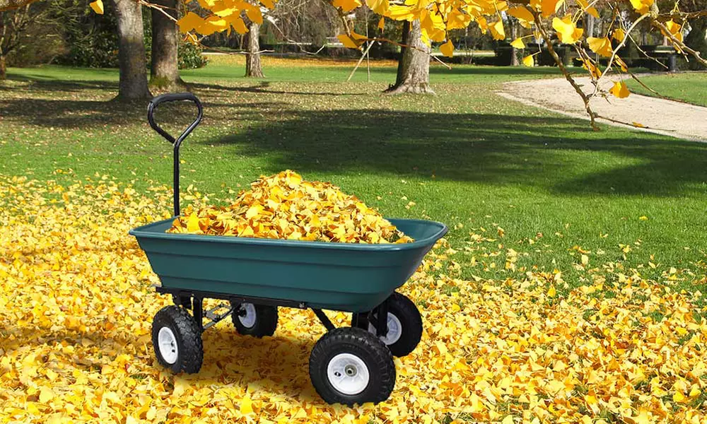 Grafner GW10286 Gartenwagen mit Kippfunktion - Primary Image