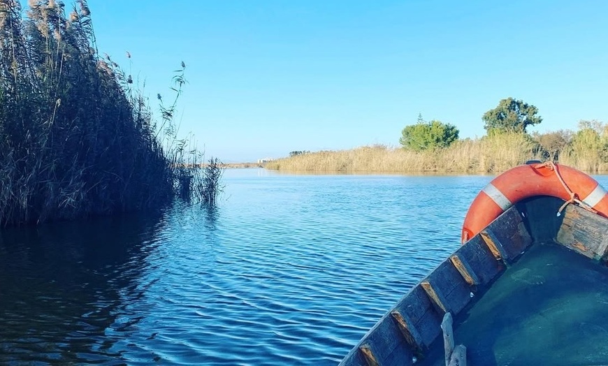 Image 8: Paseo en barca de para 2 o 4 personas con brunch en la Albufera 