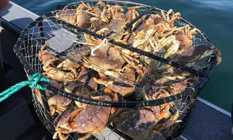 Six-Hour Crabbing Trip for One, Two, Four, or Six at Bob Rees Fishing Guide (Up to 27% Off) - Primary Image