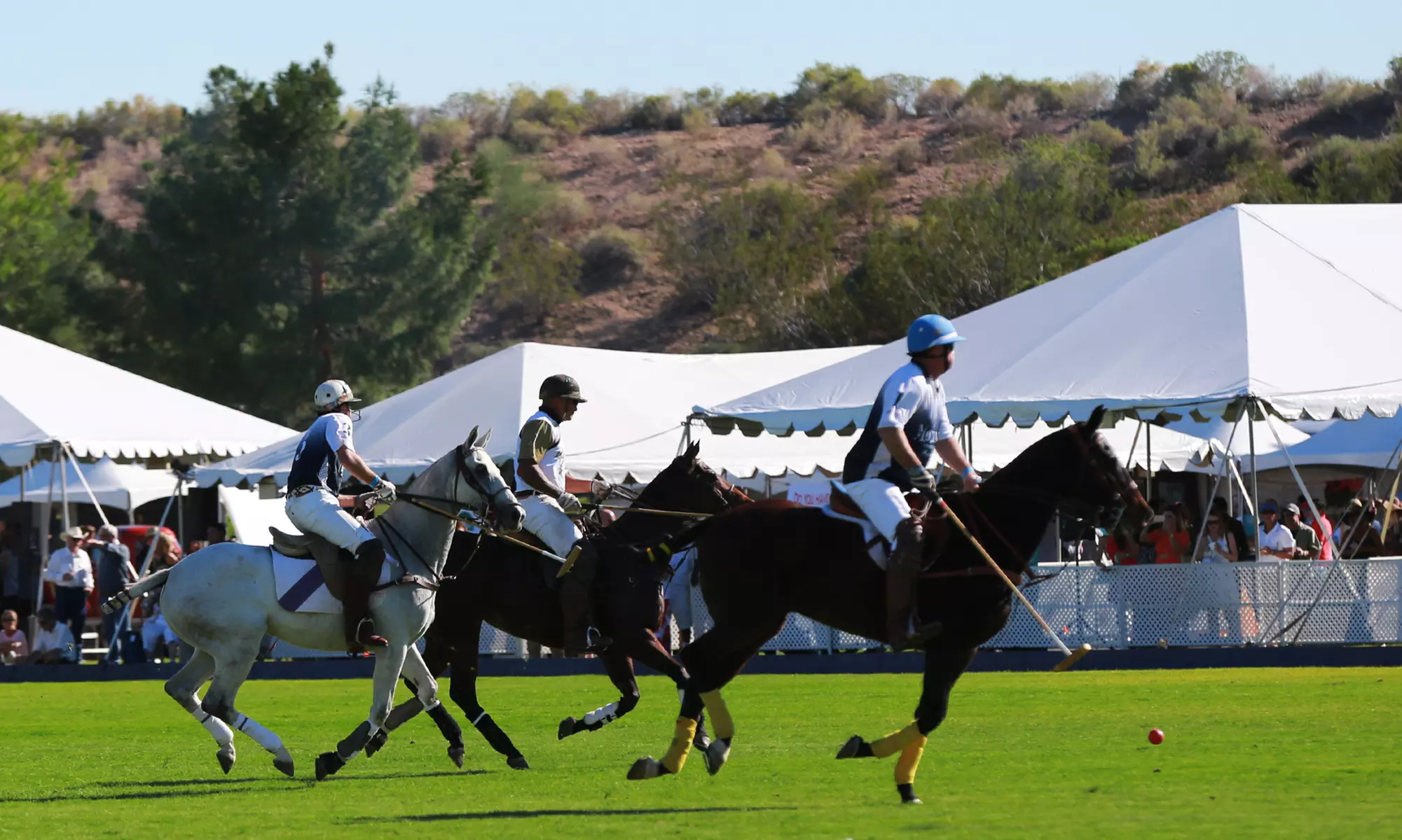 14th Annual Bentley Scottsdale Polo Championships: November 8-9, 2025