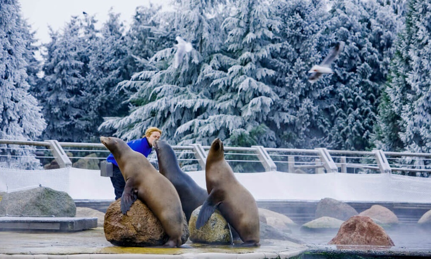 Image 2: Ontdek de dieren van de zee en neem zelf een duik in het Dolfinarium