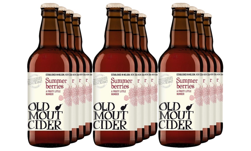 Image 5: 12 Bottles Old Mout Cider 500ml