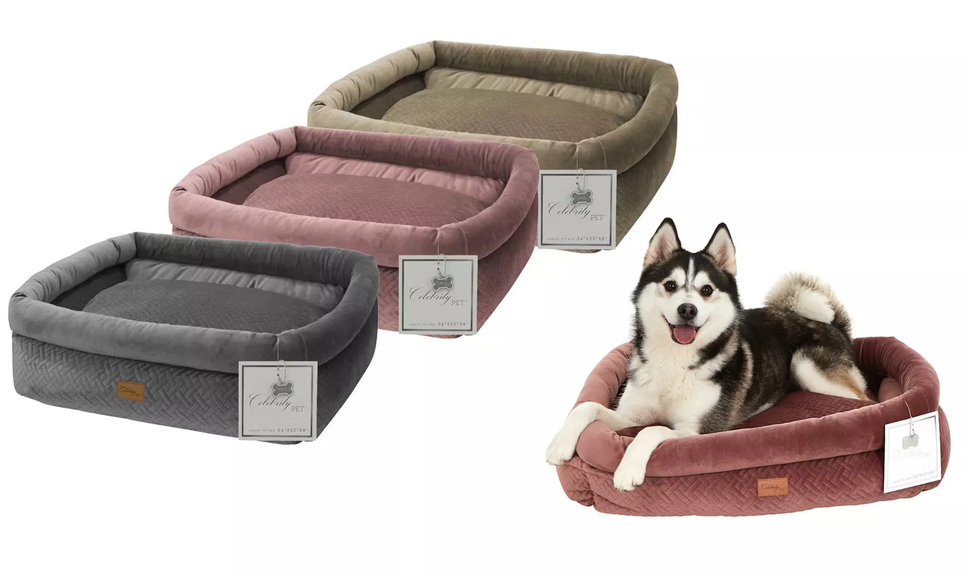 Celebrity Dog Bed with Removable Cushion
 - Primary Image