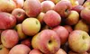 Pick-Your-Own Produce at Race Farm (Half Off). Two Options Available.