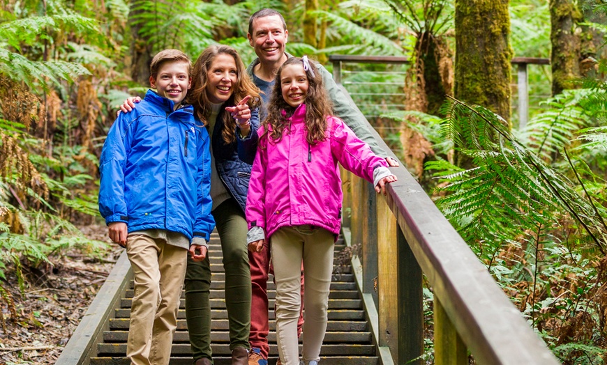 Image 6: Otway Fly Treetop Walk