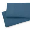 Coronet Blue