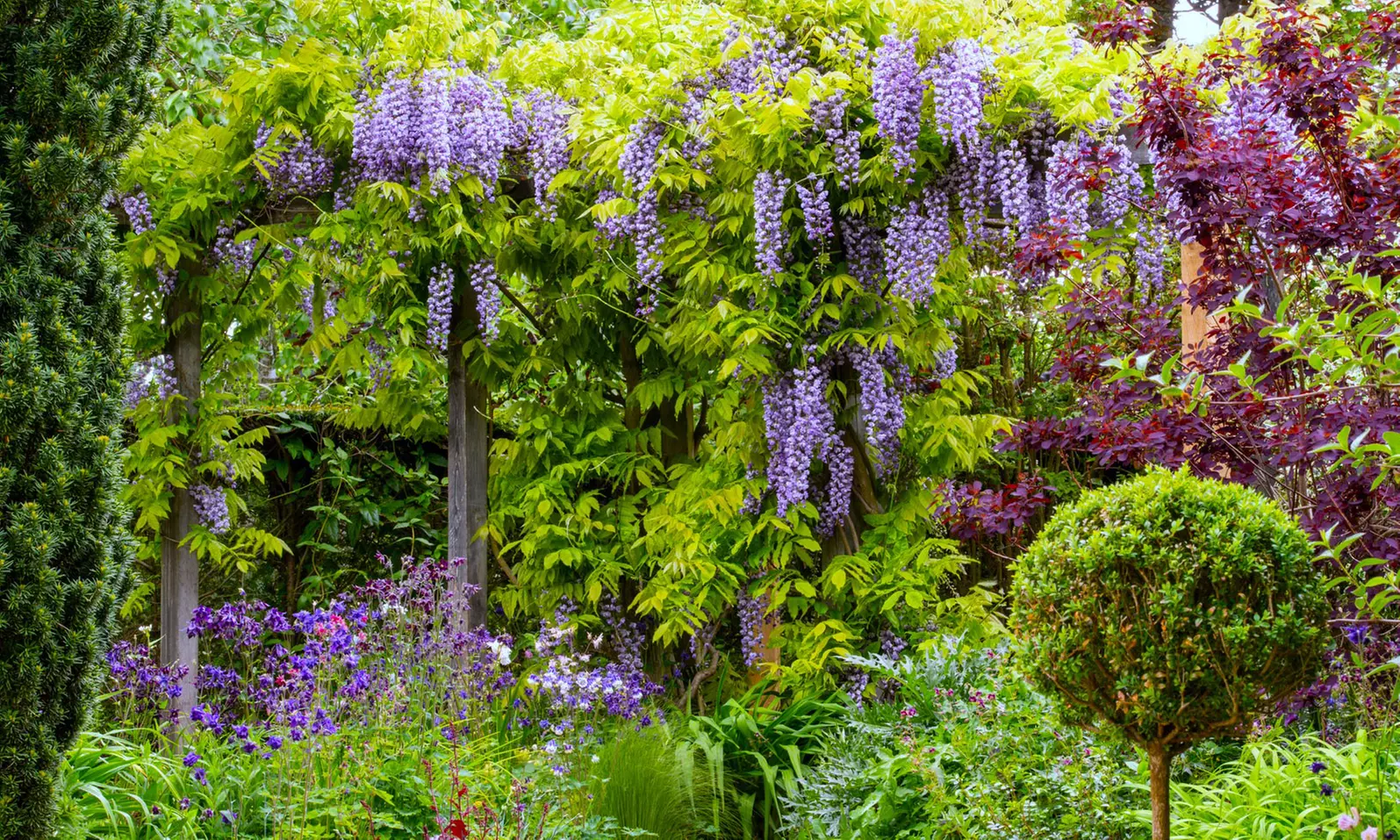 Up to 35% Off on Arboretum / Botanical Garden