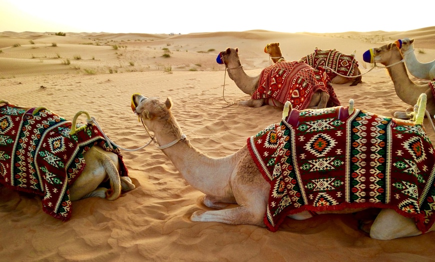 Image 2: VIP Desert Safari Experience