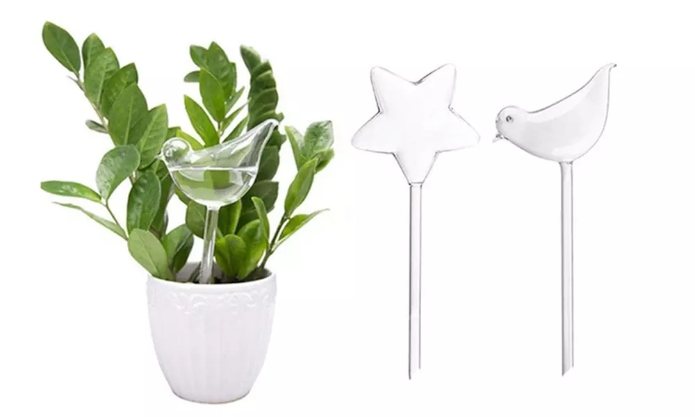 Lot de 2 ou 4 tuteurs avec fonction arrosage automatique pour plantes - Primary Image