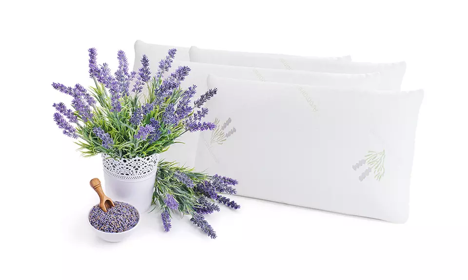 2er- oder 4er-Pack viskoelastische Kissen mit Lavendel-Füllung - Primary Image