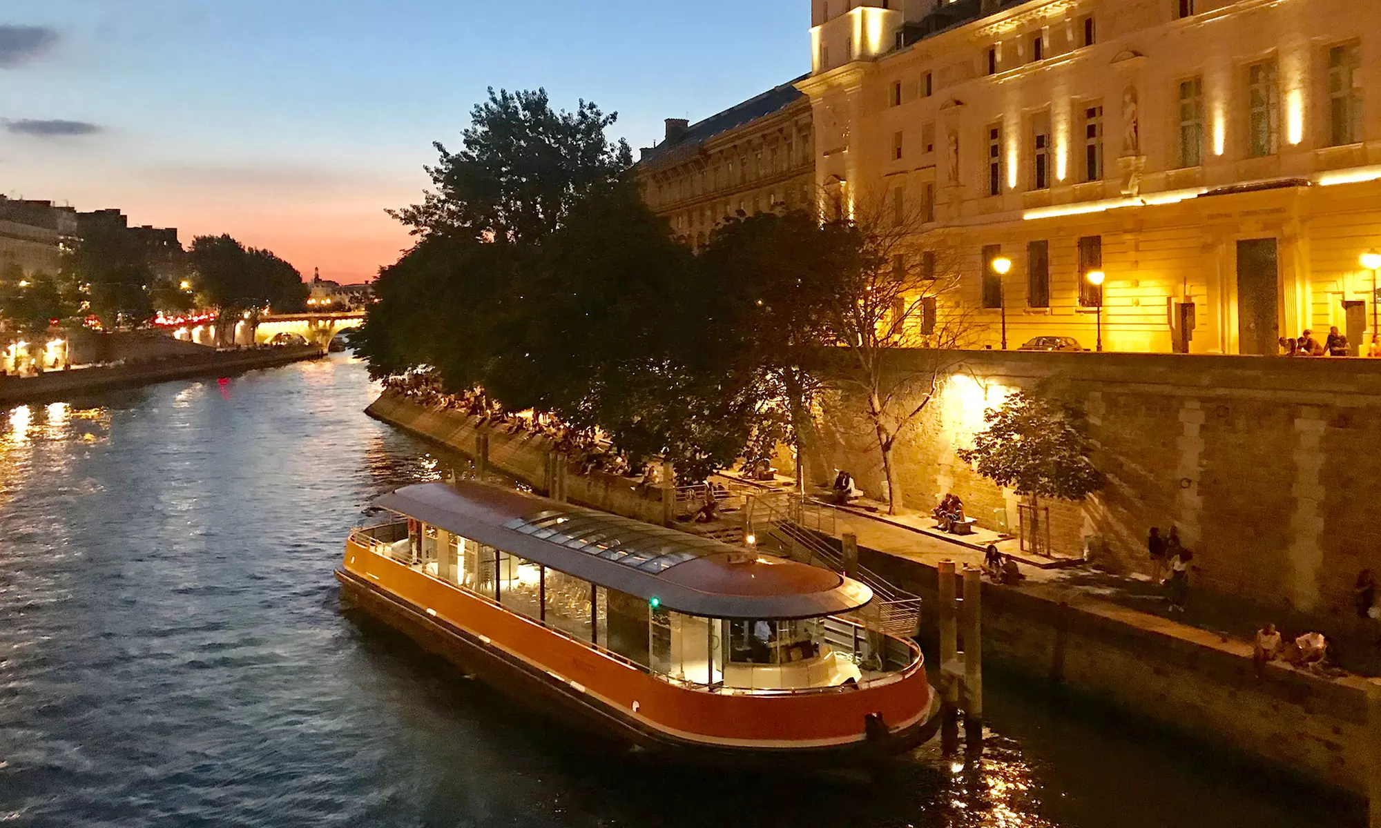 Croisière féérique dans Paris : vue panoramique sur la Seine