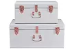 Two-Piece Metal Storage Trunk Set in Choice of Colour - Second Medium
