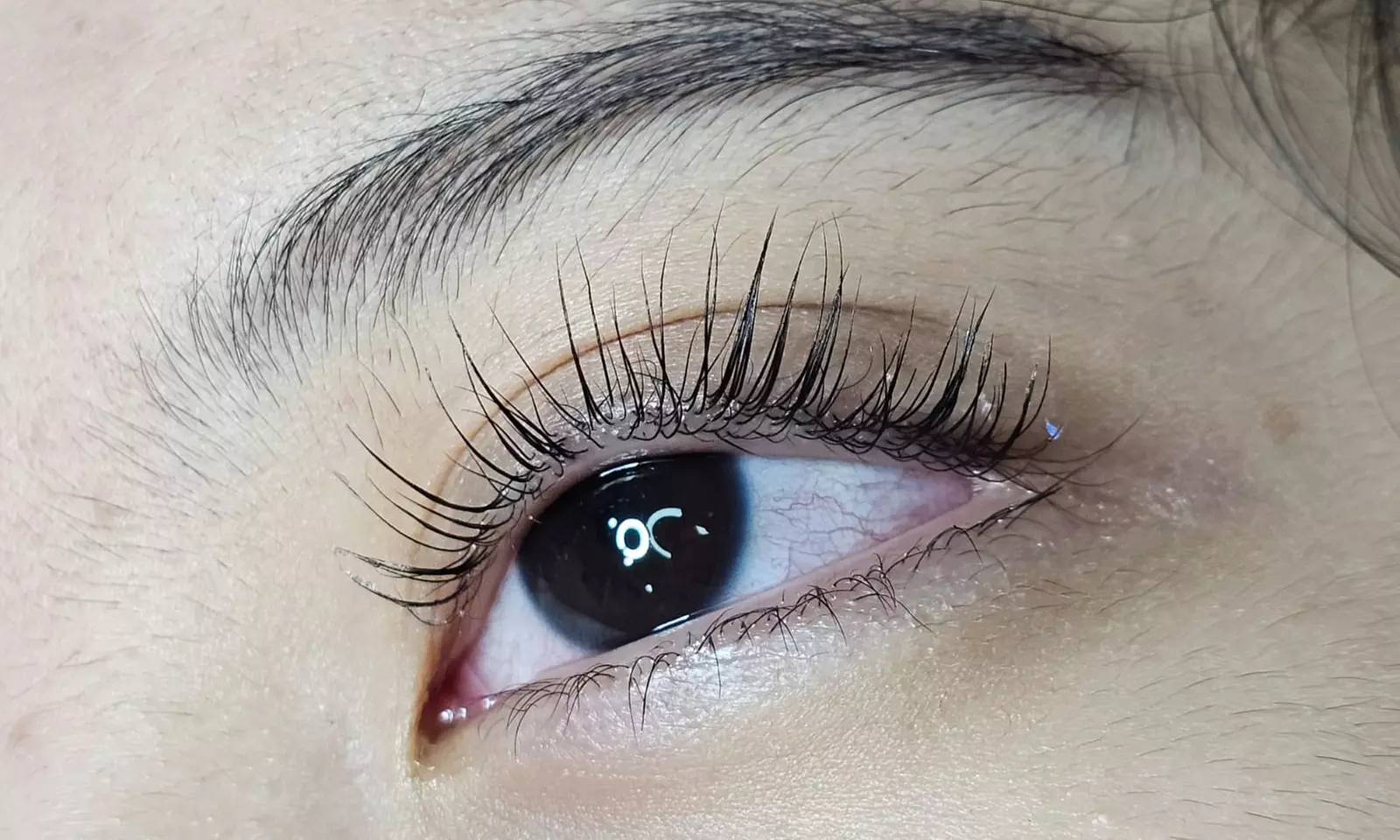 Lifting y tinte de pestañas con diseño y depilación de cejas para 1
