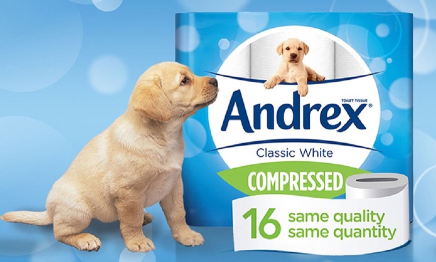 Image 1: 16 Rolls of Andrex Toilet Paper