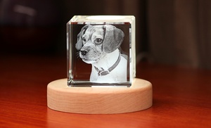 3D Laser Crystal Gifts at Justyling