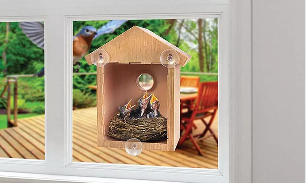 One or Two Secret Window Bird Watching Houses - Primary Image