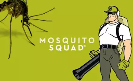$49 for Up to One Acre of Mosquito Elimination from Mosquito Squad ($169 Value) - Primary Image