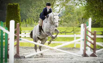One-Week Preschool Horse Camp or Four Riding Lessons at A&T Equestrian (Up to 57% Off) - Primary Image
