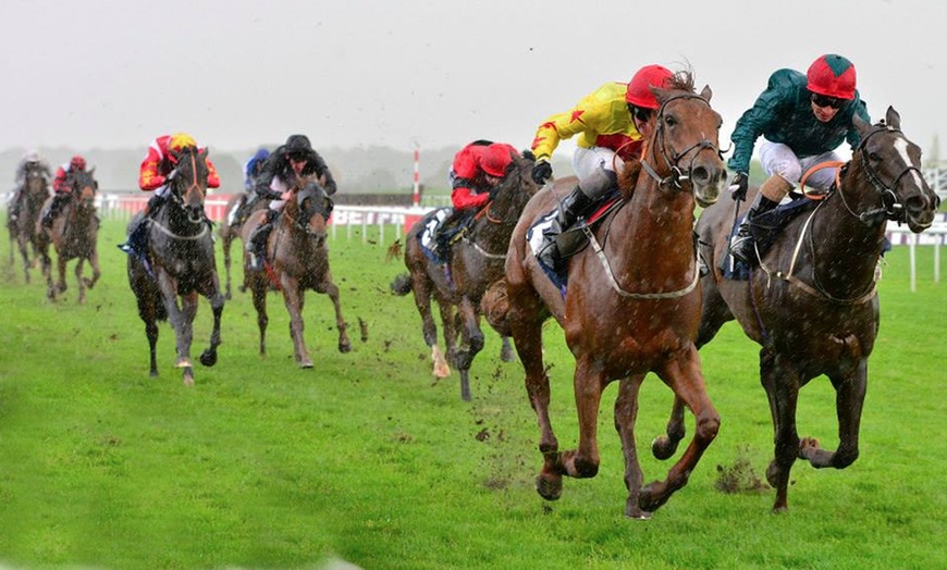 Image 2: Family Day at the Races