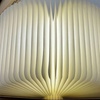 Image 1: Foldable Creative Flip Book Shaped Night Light