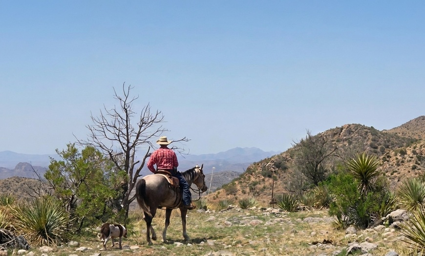 Image 11: Scenic Trail Rides at Double R Ranch – All Skill Levels Welcome