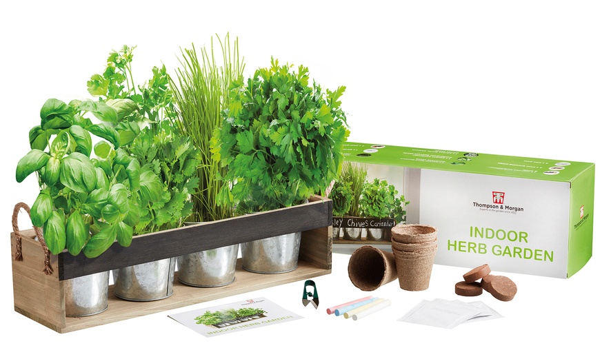 Image 7: Herb Gift Set