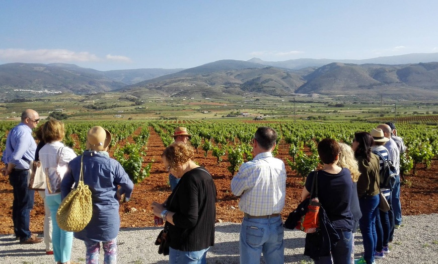 Image 5: ¡Descubre el sabor del vino con una experiencia única para dos!