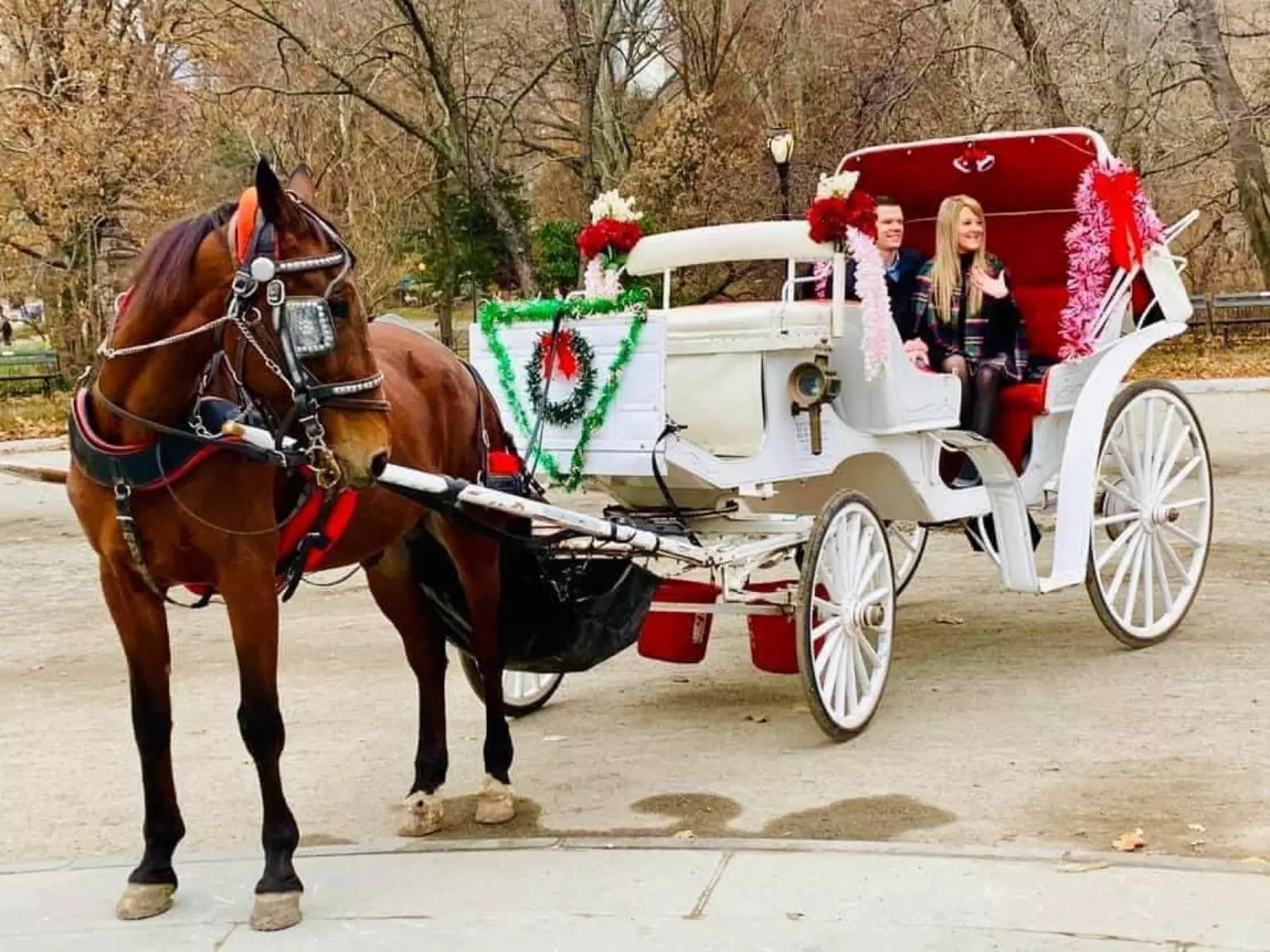 20% Off Proposal Package from VIP Central Park Tours.