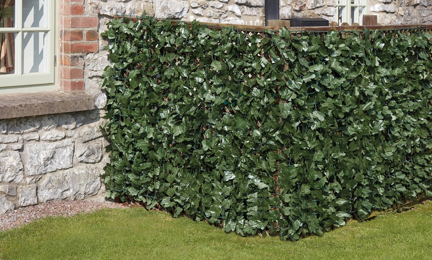 Image 1: Three or Six Meters of Rolled Ivy or Laurel Fence