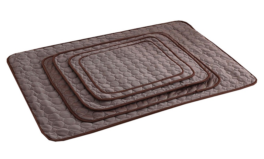 Image 6: Pet Cooling Mat