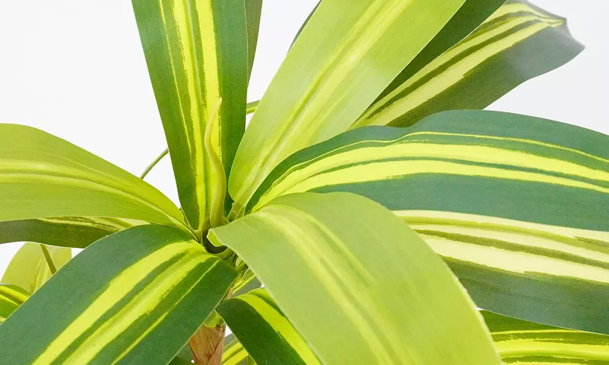 Collezione di piante finte da interno