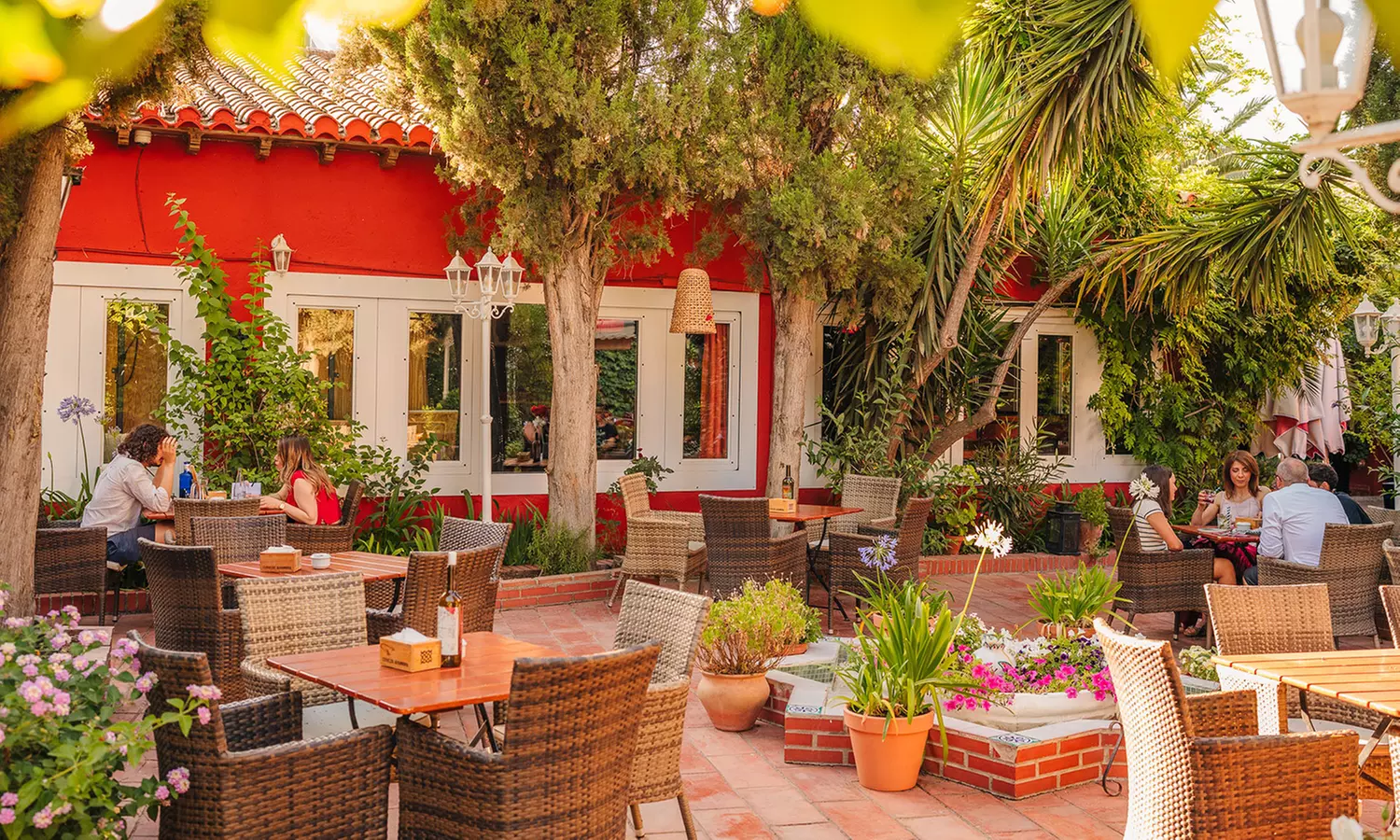 Espectáculo de flamenco con opción a picoteo y bebida para 2 o 4