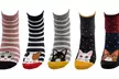 Lot de 5 paires de chaussettes en coton Bob Kitten - Image 5