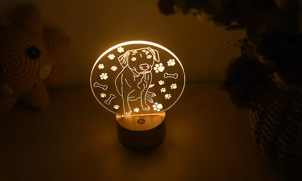 Foto-Nachtlicht vom Haustier