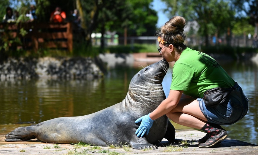 Image 18: ZOO Borysew: ulgowy lub normalny bilet wstępu