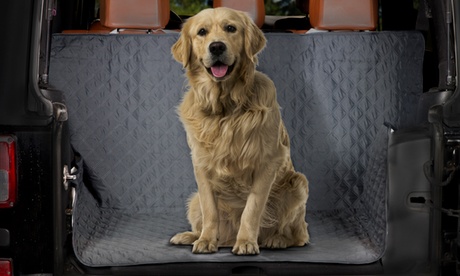 Copri sedile, plaid o set 3 guanti spazzola per animali