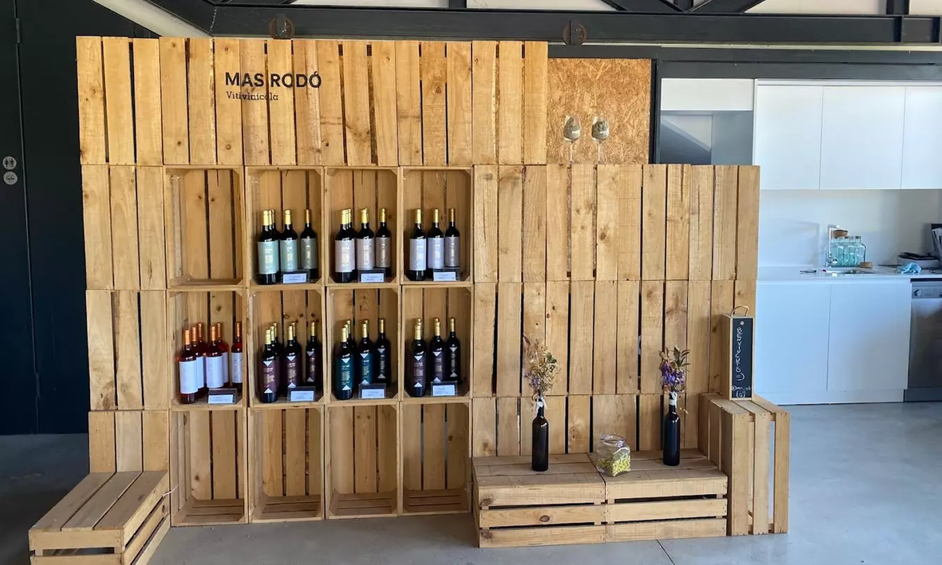 Paseo por viñedo, visita a bodegas y cata de 3 vinos para 1 o 2