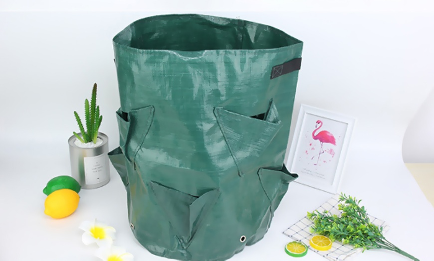 Image 4: Heavy Duty Plant Bag