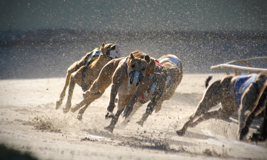 Image 1: Race Night with Meal and Drinks