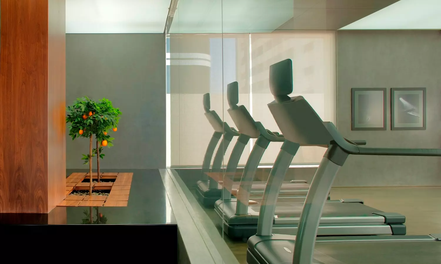 5* Gym, Spa and Pool Membership at Voco Dubai