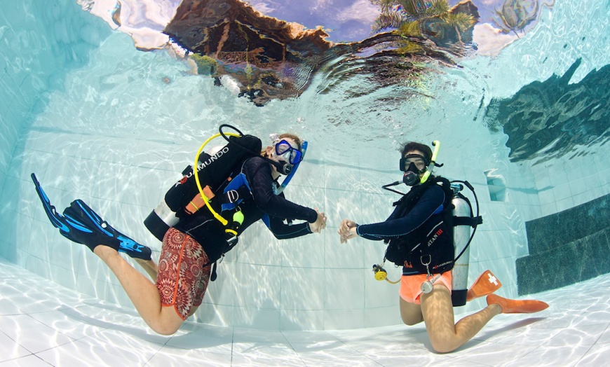 Image 3: PADI Scuba Diver or Open Water Course