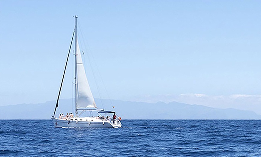 Image 9: Avistamiento de cetáceos en velero exclusivo con White Tenerife